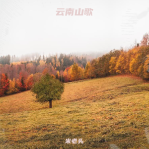 Listen to 云南山歌伤感调—曦宝 (完整版) song with lyrics from 米老头