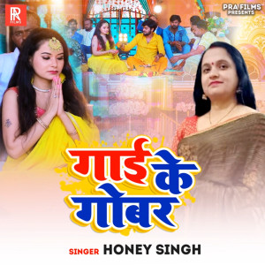 Album Gai Ke Gobar oleh Honey Singh