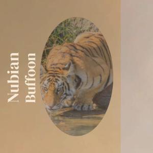 收聽Tayong Spel的Substantial Rumor歌詞歌曲