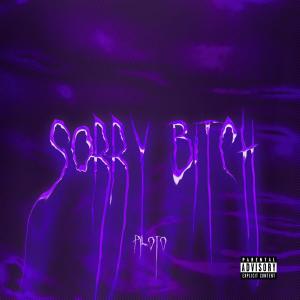 Album Sorry Bitch (Explicit) from Darina & Piloto