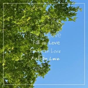 ดาวน์โหลดและฟังเพลง Fall in Love พร้อมเนื้อเพลงจาก 장영균