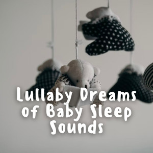 Album Lullaby Dreams of Baby Sleep Sounds oleh Lullaby Baby Trio