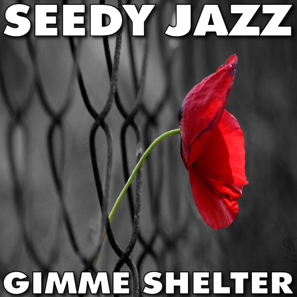 Gimme Shelter