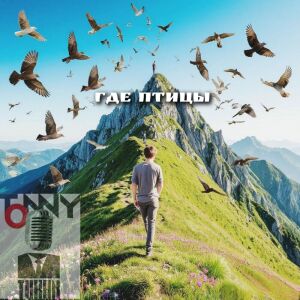 Album Где птицы from 