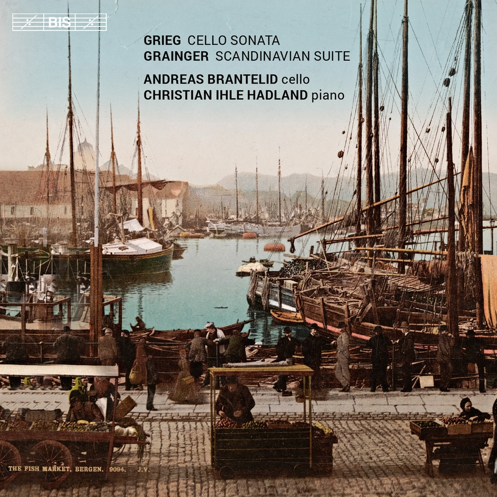 Strophic Songs, Op. 21, FS 42, Vol. 2: No. 1. Saenk kun dit hoved, du blomst (Just bow your head, oh flower) (arr. for cello and piano)