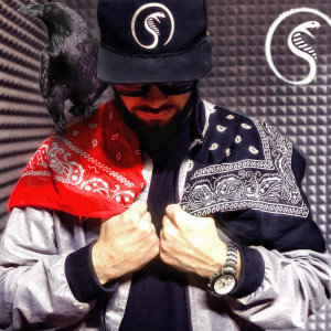 Listen to S.H.O.T. (R.I.P. Shot) song with lyrics from COBRA DS