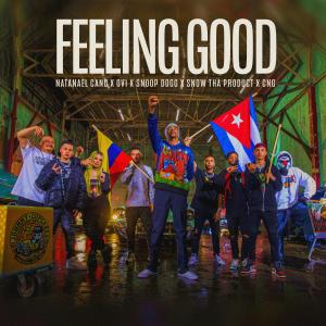 收聽Natanael Cano的Feeling Good (feat. Snow Tha Product & CNG) (Explicit)歌詞歌曲