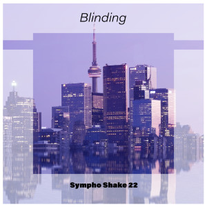 Various Artists的专辑Blinding Sympho Shake 22