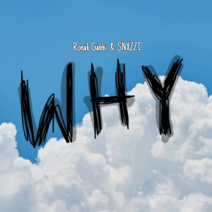 Listen to Why song with lyrics from Ronak Gabbi