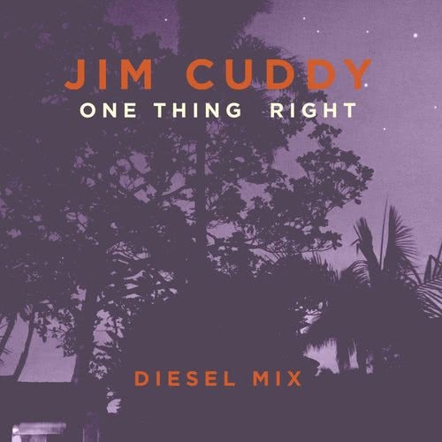 One Thing Right (Diesel Mix)