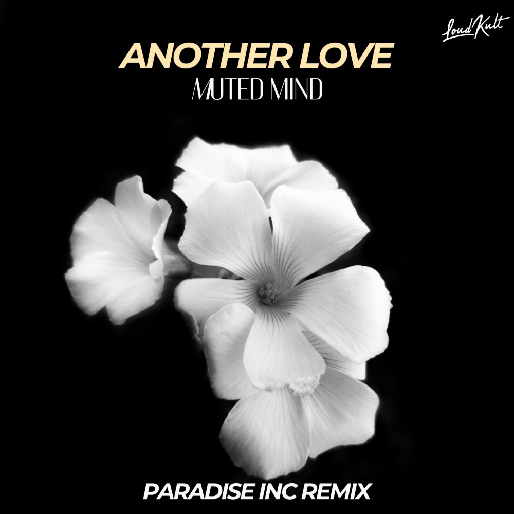 Another Love (Paradise Inc. Remix|Explicit)