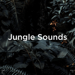 Dengarkan lagu River Sound nyanyian Nature Sounds dengan lirik