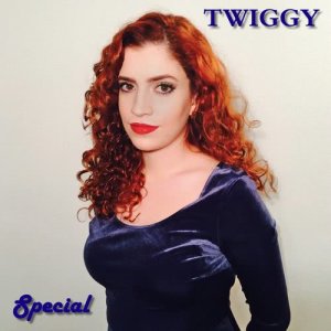 收聽Twiggy的Positively 4th Street歌詞歌曲