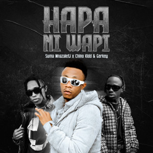 Listen to Hapa Ni Wapi song with lyrics from Suma Mnazaleti
