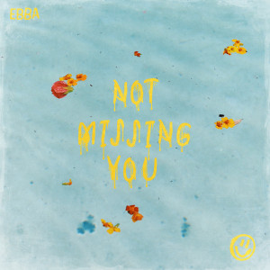 Album Not Missing You from Ebba