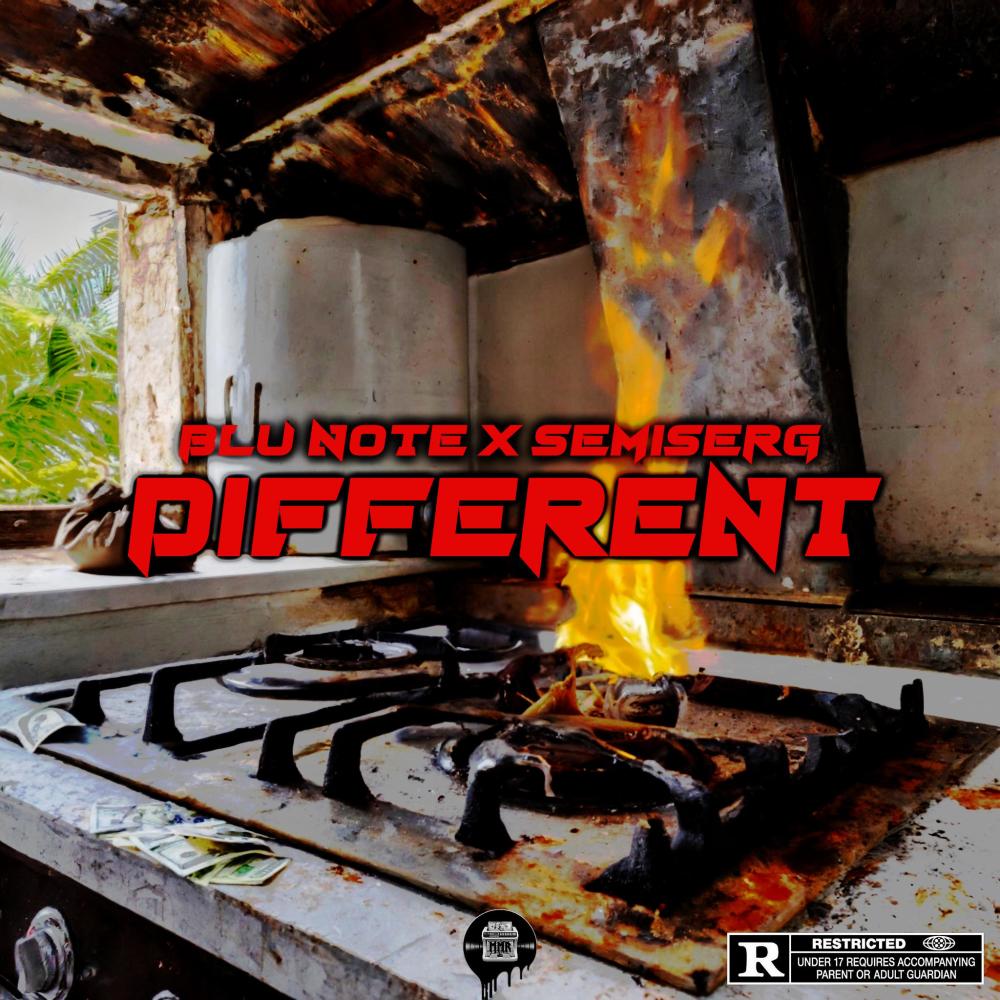 Different (feat. Blu Note) (Explicit)
