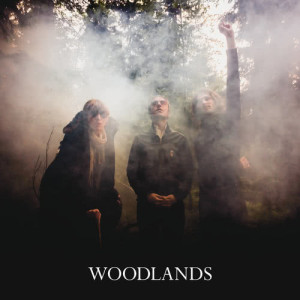 ดาวน์โหลดและฟังเพลง Move Forvard พร้อมเนื้อเพลงจาก The Woodlands