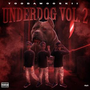 Toodawooskii的專輯Underdog volume 2 (Explicit)