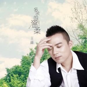 收聽王峰的多餘的溫柔 (DJ何鵬版)歌詞歌曲
