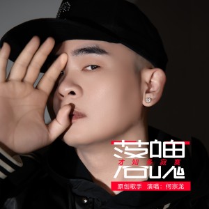 Album 落魄才知多寂寞 oleh 何宗龙