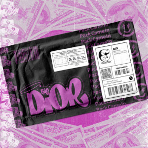 Album Pack Came In oleh Diany Dior