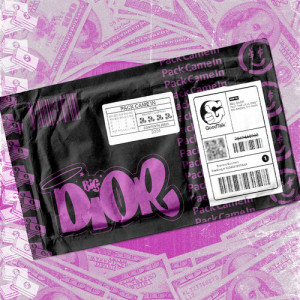 Listen to Pack Came In song with lyrics from Diany Dior