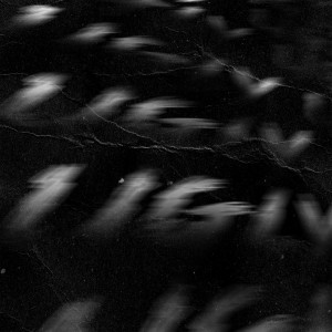 Album UGLY from RXLZQ