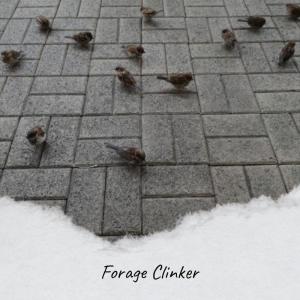 Album Forage Clinker from Various
