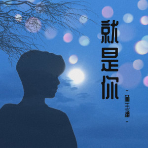 ดาวน์โหลดและฟังเพลง 就是你 (伴奏) พร้อมเนื้อเพลงจาก 林玉涵