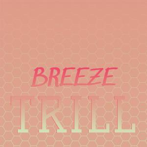 Listen to Reptilian Basketballer song with lyrics from Kaie Esra