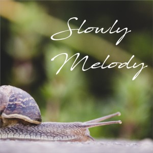 ดาวน์โหลดและฟังเพลง Slowly Melody พร้อมเนื้อเพลงจาก Denis Vuk