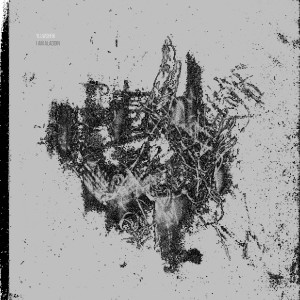 收听yllwshrk的Arsenik歌词歌曲