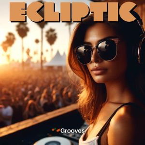 Electro Party的專輯Ecliptic Grooves (The Palm Silhouette Mixtape)