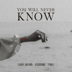 Album You Will Never Know from Vadim Adamov