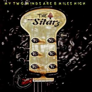 ดาวน์โหลดและฟังเพลง The Good Times พร้อมเนื้อเพลงจาก The Baby Sitars