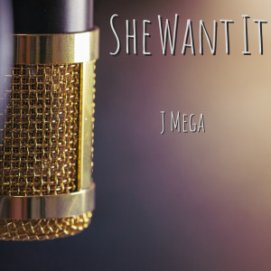 ดาวน์โหลดและฟังเพลง She Want It พร้อมเนื้อเพลงจาก J MEGA
