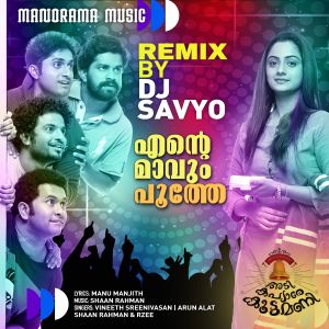 ดาวน์โหลดและฟังเพลง Ente Mavum Poothe DJ Remix (From "Adi Kapyare Koottamani") พร้อมเนื้อเพลงจาก Vineeth Sreenivasan