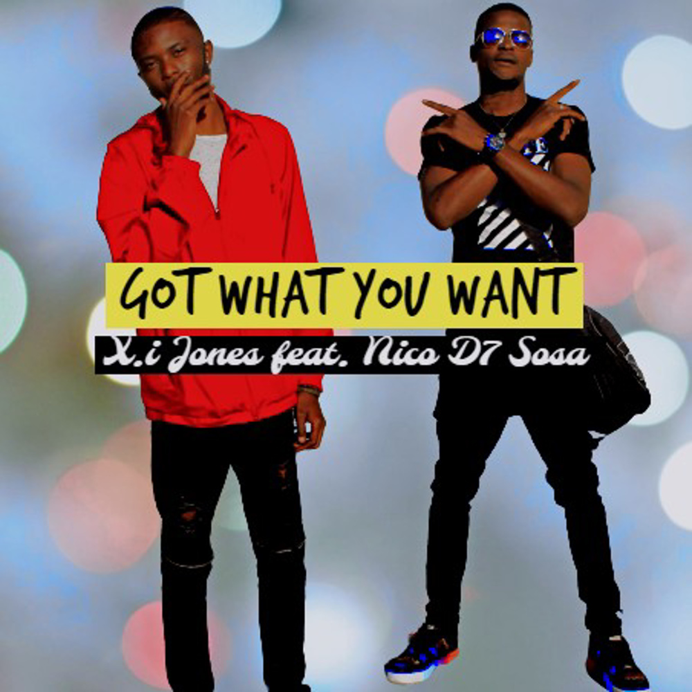 Got What You Want (feat. Nico D7 Sosa) (Explicit)