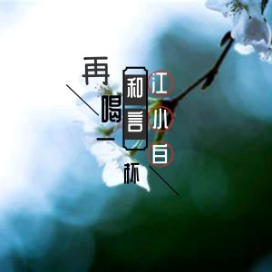 Listen to 再喝一杯江小白 song with lyrics from 和言