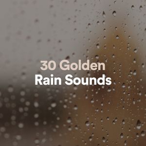 30 Golden Rain Sounds dari Rain Sounds Nature Collection