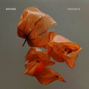 Listen to Amores song with lyrics from Natisú