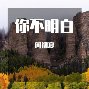 收聽何初夏的開始懂了歌詞歌曲