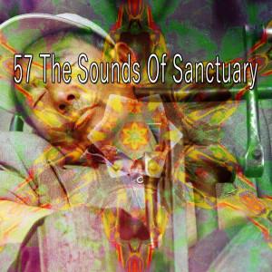Listen to Night Star song with lyrics from Rest & Relax Nature Sounds Artists