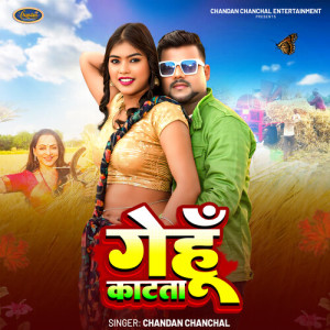 Listen to Gehu Katata song with lyrics from CHANDAN CHANCHAL