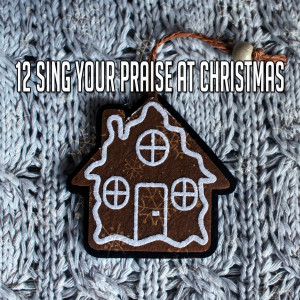 12 Sing Your Praise At Christmas