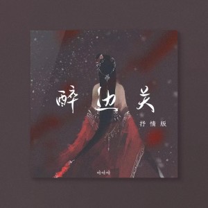 Listen to 醉边关 (DJ版) (完整版) song with lyrics from 略略略