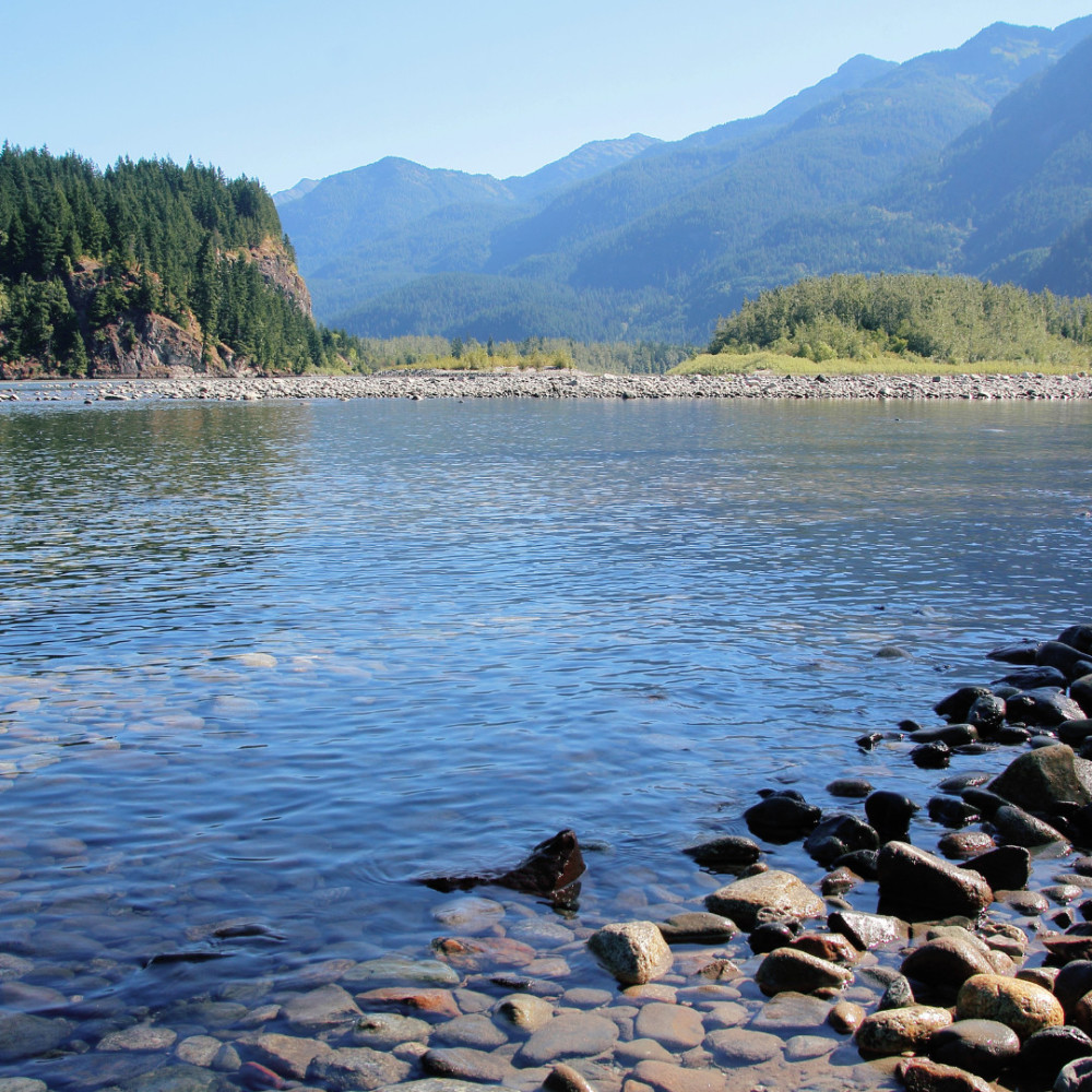 Riverside's Dreamy Echoes