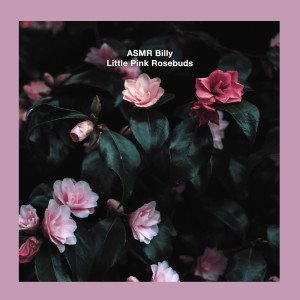 ดาวน์โหลดและฟังเพลง Little Pink Rosebuds พร้อมเนื้อเพลงจาก ASMR Billy