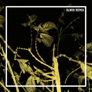 ดาวน์โหลดและฟังเพลง DJ - TAKI TAKI REMIX (Explicit) พร้อมเนื้อเพลงจาก Alwin Remix