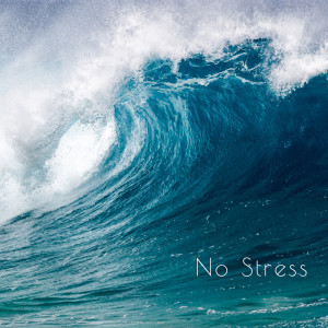 อัลบัม No Stress ศิลปิน Suara Alam